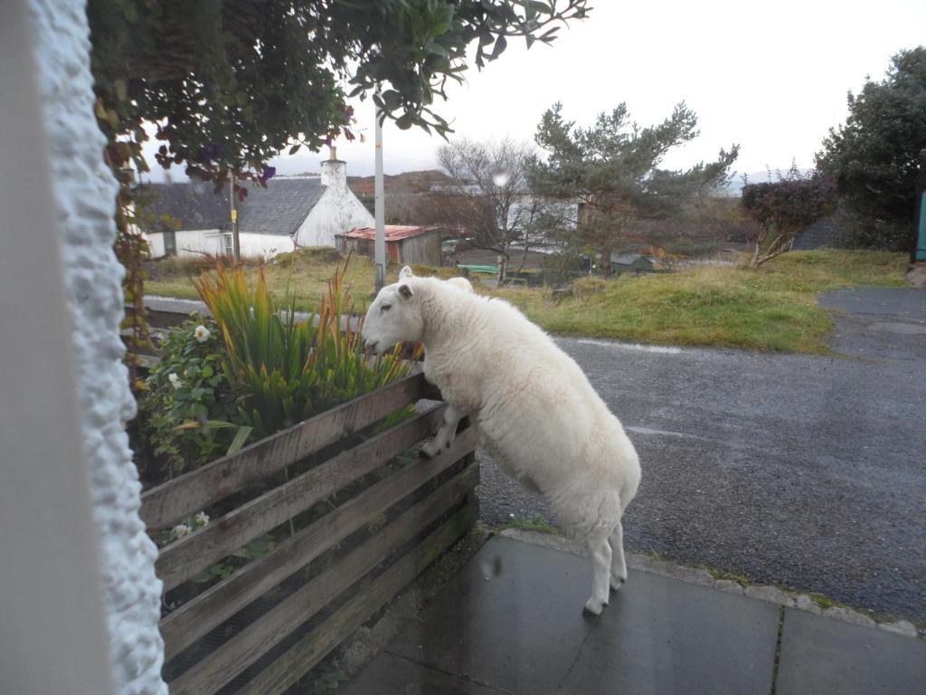 Creag Dubh Bed&Breakfast Kyle of Lochalsh Exterior foto